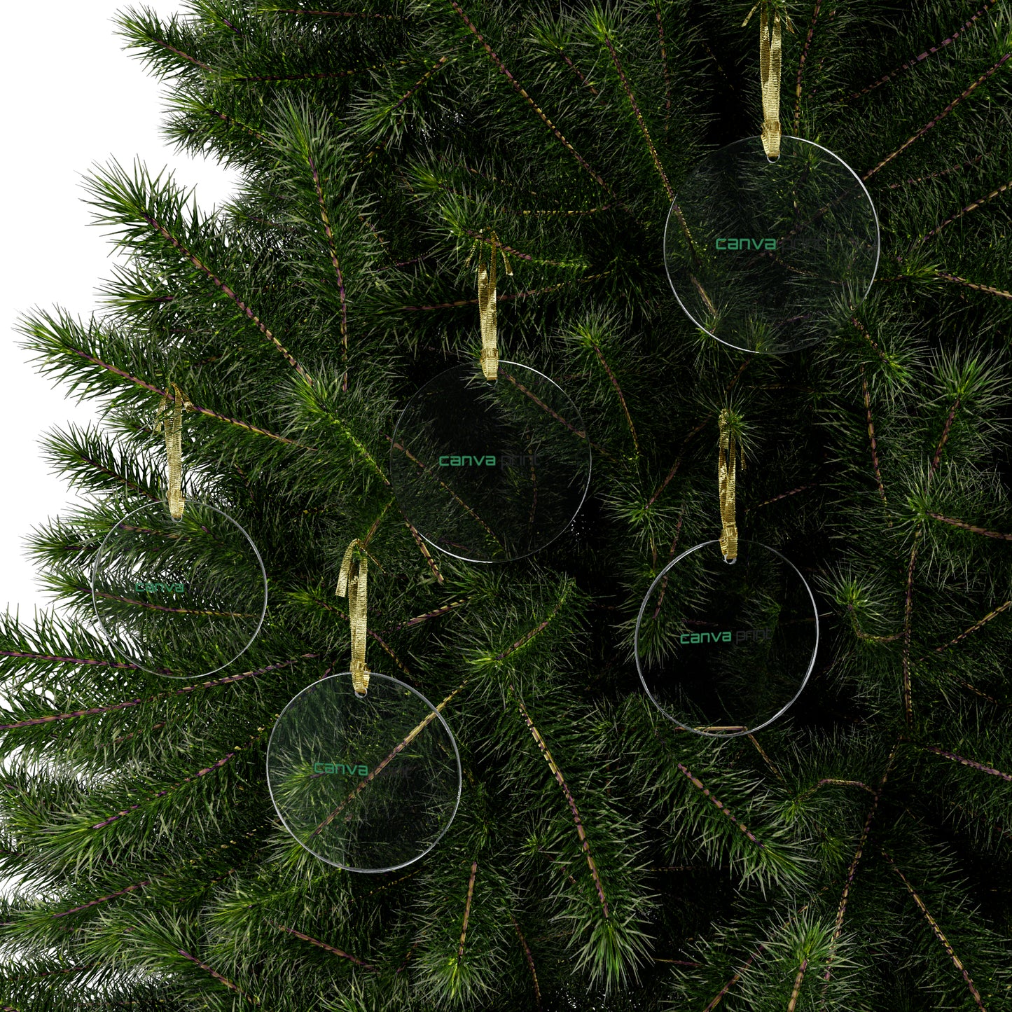 Acrylic Ornaments