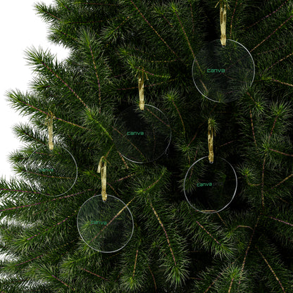Acrylic Ornaments